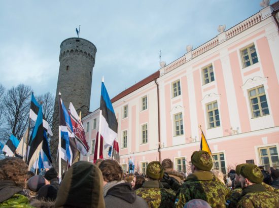 Eesti Vabariigi 99. aastapäeva tähistamine